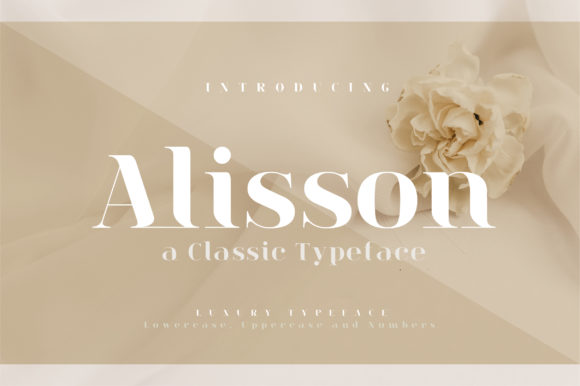 Alisson: An Elegant Serif Font for Timeless Brand Design