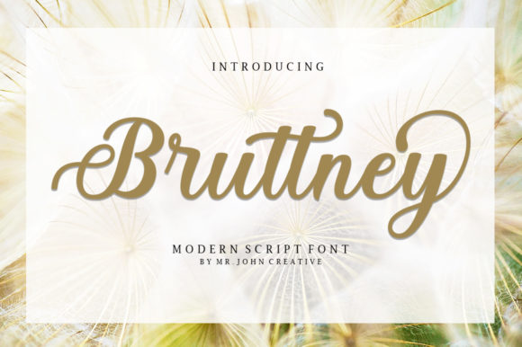 Bruttney: A Handwritten Font for Digital Brand Impact