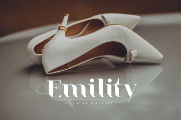 How Emility Serif Font Gives Small Brands a Polished Look