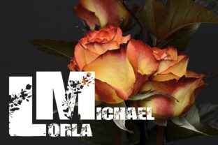 Lorla Michael: A Decorative Font for Editorial Design