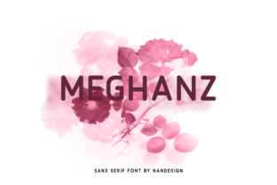 Meghanz: A Designer's Honest Review