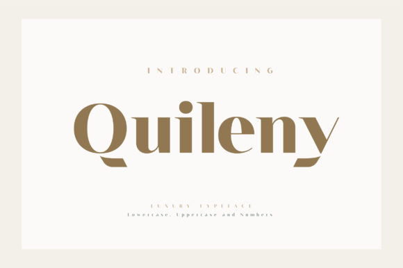 Quileny: A Serif Font That Brings Handmade Products to Life