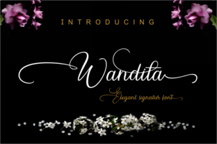Wandita: A Script Font Built for Brand Work