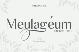 Why Meulageum Serif Font Gives Small Brands a Polished Edge